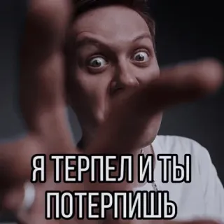 😒 bd60d5ac Я ТЕРПЕЛ И ТЫ ПОТЕРПИШЬ persona, faccia, russo, meme telegram sticker