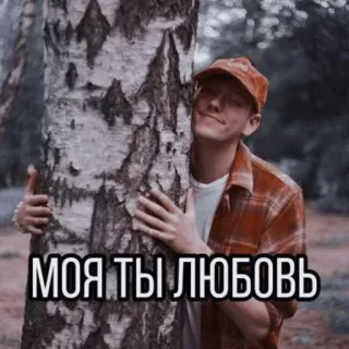 ❤️ cae2d020 МОЯ ТЫ ЛЮБОВЬ amore, uomo, abbraccio, albero, romantico, testo russo telegram sticker