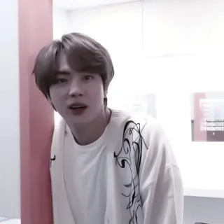 🌟 82fb7fd3 Jin 韩流, 歌手, 偶像, BTS, 名人 telegram sticker