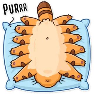 🛌 a022fc1c PURRR Katze, Tier, schlafend, Kissen, süß, Haustier telegram sticker