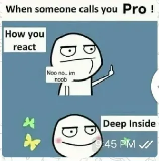 🤗 b6fb1b74 When someone calls you Pro! How you react Noo no.. im noob Deep Inside 9:45 PM ミーム, ユーモア, リアクション, 初心者, プロ telegram sticker