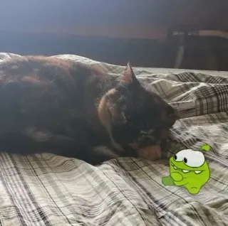 😂 504023da Om Nom Cut the Rope Om Nom, Cut the Rope, Monster, Hijau, Karakter game, Kartun telegram sticker