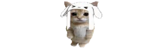 🐈 7f07eb37 gato, animal, chapéu de coelho, fofo, gatinho telegram sticker