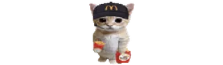 🐈 e648b86f gato, McDonalds, batatas fritas, animal, meme, comida, fofo telegram sticker