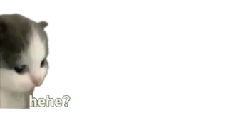 🙁 322052bd hehe? 고양이, 밈, 웃긴, 헤헤 telegram sticker