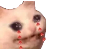 🥰 382c29b8 고양이, 우는, 밈, 슬픈, 동물 telegram sticker