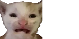 😰 4693f8dd telegram sticker