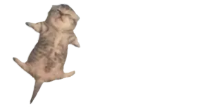 😵 911e090a telegram sticker