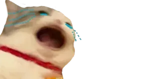 😭 9a6ccc64 고양이, 밈, 소리 지름, 울음 telegram sticker