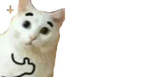 👍 bc97b28a telegram sticker