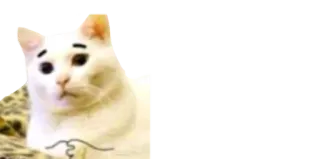 ☹️ c7964dc1 telegram sticker