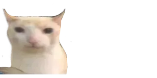 😕 e129380b 고양이, 밈, 웃긴, 동물 telegram sticker