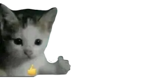 👍 e8e5ad7a 고양이, 새끼 고양이, 엄지 척, 동물, 귀여운 telegram sticker