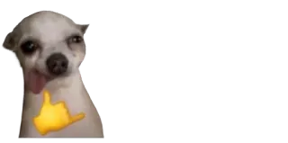 🤙 efacb4ee 강아지, 치와와, 이모지, 제스처, 싫어요 telegram sticker