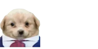 🤓 f2b98b68 telegram sticker