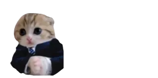 🤓 f2cdf519 고양이, 새끼 고양이, 비즈니스, 정장, 동물 telegram sticker