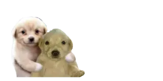 Все стикеры тут👉 @toyouxd telegram stickers