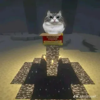🤩 3c0f5932 Katze, Minecraft, lustig, Meme, Box, Mais telegram sticker