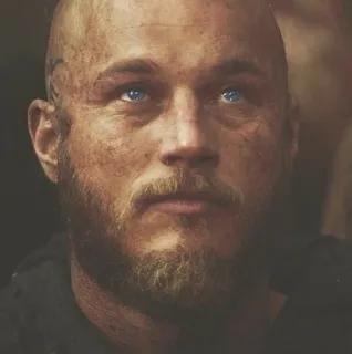 🩸 8703d83c Ragnar Lothbrok Vikings Рагнар, Викинги, Трэвис Фиммел, воин, историческая личность, борода, лидер telegram sticker