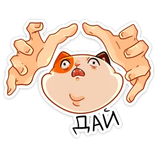 😦 c11327ff ДАЙ 고양이, 스티커, 웃긴, 밈 telegram sticker