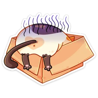 😞 fc006263 고양이, 상자, 웃긴, 동물, 만화, 애완동물 telegram sticker