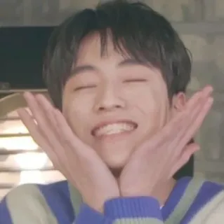 ☺️ 0eb814db personne, homme, sourire, joyeux, mignon telegram sticker