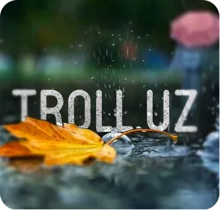 🍂 d62dd4cf TROLL.UZ troll, rain, leaf, autumn, website, internet telegram sticker