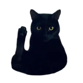 🦵 23e5d358 猫, 黑猫, 中指, 粗鲁, 搞笑, 动物 telegram sticker