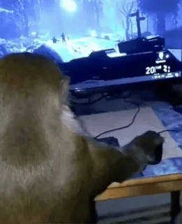 🐵 3812a5ab Affe, Gamer, Gaming, Computer, Tier, Lustig, Meme telegram sticker