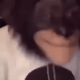 🐵 a88ff53a telegram sticker