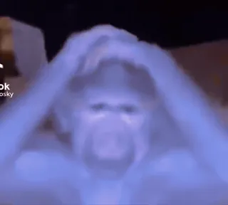 🐵 f3e91e26 Gorilla, Affe, Tier, Primat telegram sticker