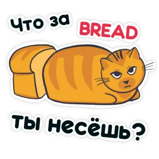 🤨 e8fa89ab Что за BREAD ты несёшь? Katze, Brot, lustig, Sticker, Meme whatsapp sticker