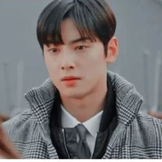 💕 cd40f25d orang, pria, potret, wajah, dalam ruangan telegram sticker