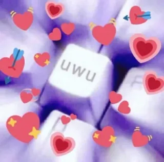 🌸 5dccfecf uwu uwu, trái tim, bàn phím, meme, dễ thương whatsapp sticker