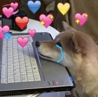😭 dc1142b3 chó, trái tim, máy tính xách tay, meme, khóc, buồn whatsapp sticker