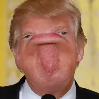 😓 30a5b0a0 Donald Trump политика, карикатура, президент, смешно, юмор, мем telegram sticker