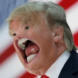 😑 7462280b Donald Trump доналд трамп, политика, смешно, мем, карикатура telegram sticker