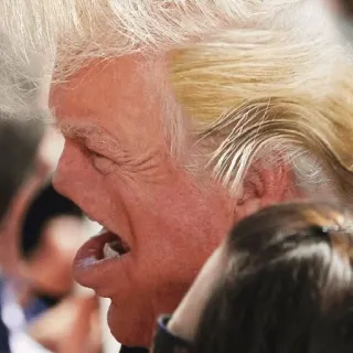 🤥 86087434 telegram sticker