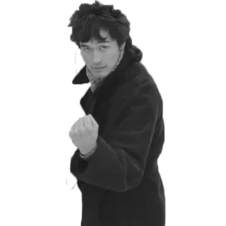 ✊ 6bd3681c telegram sticker