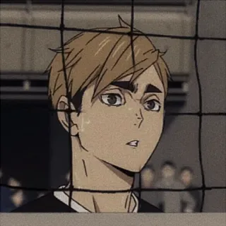 🍯 9fcbf8ff telegram sticker