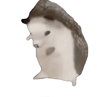 TikTok Animals • @TgStickery telegram stickers