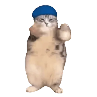 🥳 5ea902f2 猫, 中指, 攻撃的, 動物, ベレー帽, 失礼 telegram sticker