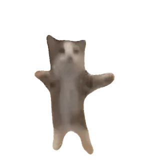 🎉 af9e789f 猫, ダンス, 面白い, 動物, ミーム telegram sticker