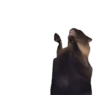 😡 c32f7775 telegram sticker