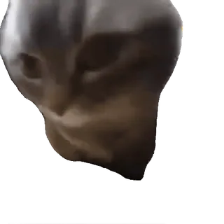 🗿 d19e3ba7 猫, 動物, ミーム, 面白い telegram sticker