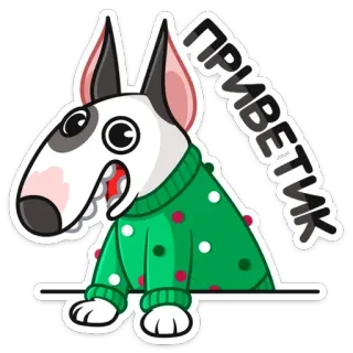 👋 4ed6c4e4 ПРИВЕТИК dog, greeting, bull terrier, sweater telegram sticker