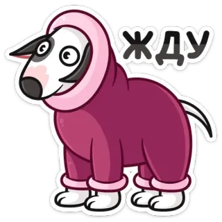 ⏳ 829ec238 ЖДУ หมา, บูลเทอร์เรีย, รอ, สัตว์, สัตว์เลี้ยง, การ์ตูน telegram sticker