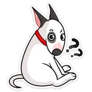 ❓ d91c3ba7 สุนัข, บูลล์ เทอร์เรีย, การ์ตูน, คำถาม, สับสน, สัตว์, สัตว์เลี้ยง telegram sticker