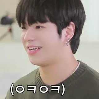 👌 ba7ad220 (ㅇㅋㅇㅋ) Koreaans, meme, internetjargon, gezicht, glimlach telegram sticker