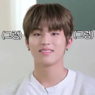 🥺 d5048fd8 (그렁) kpop, idol, jongen, aziatisch, koreaans telegram sticker